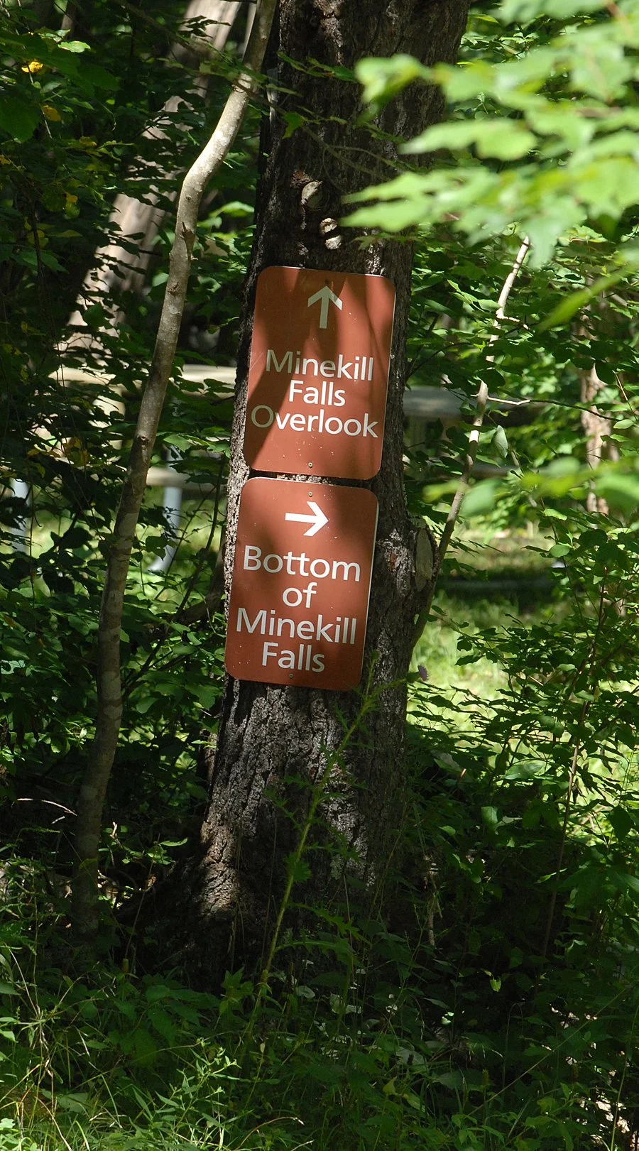 MKF. signs.jpg