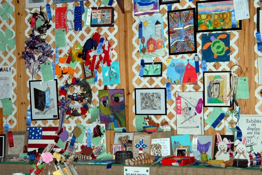 Fair 2. 4H ribbons.jpg