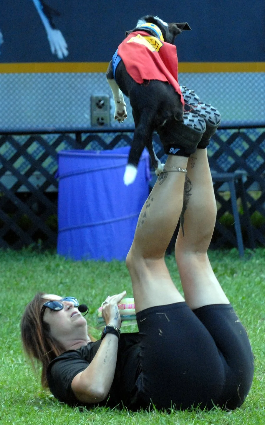Fair 3. dock dogs 1.jpg