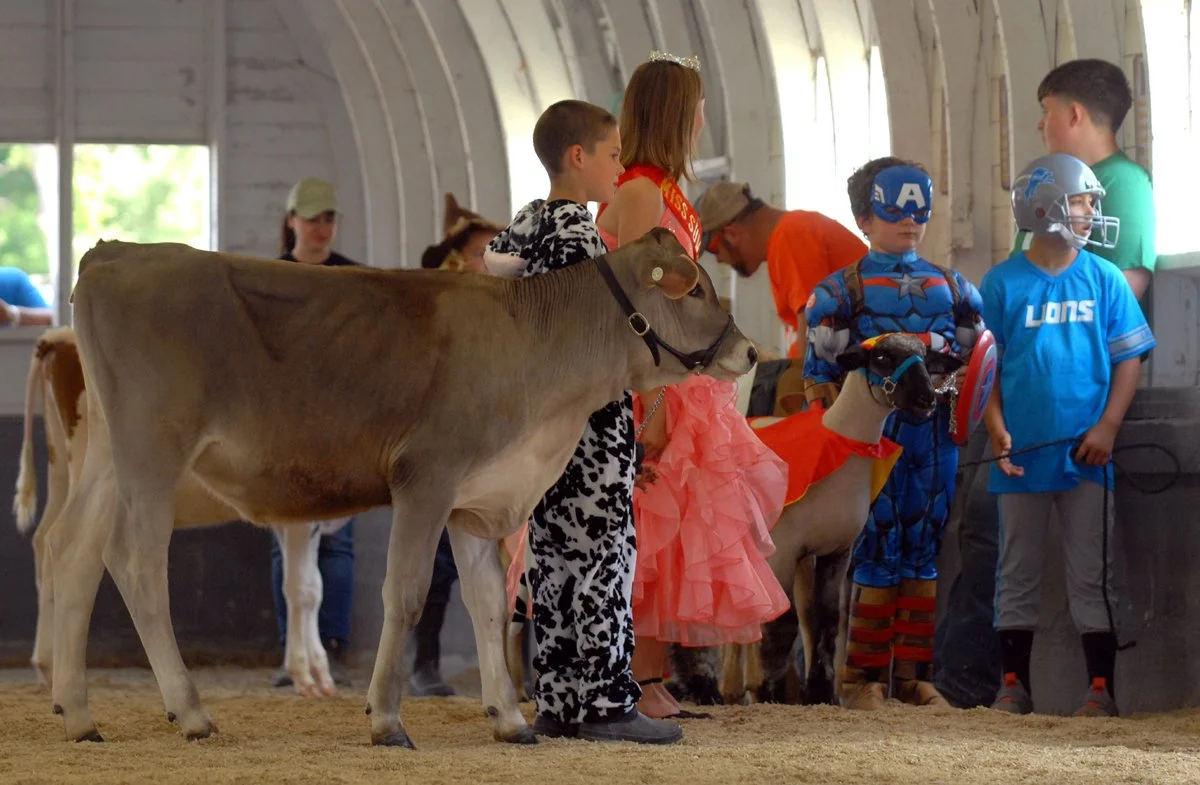 Fair 3. big costumes.jpg
