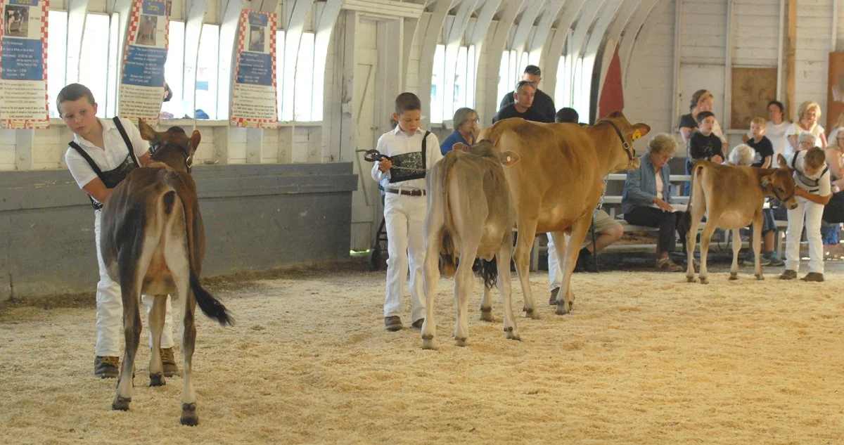 Fair 1. big show Jerseys.jpg