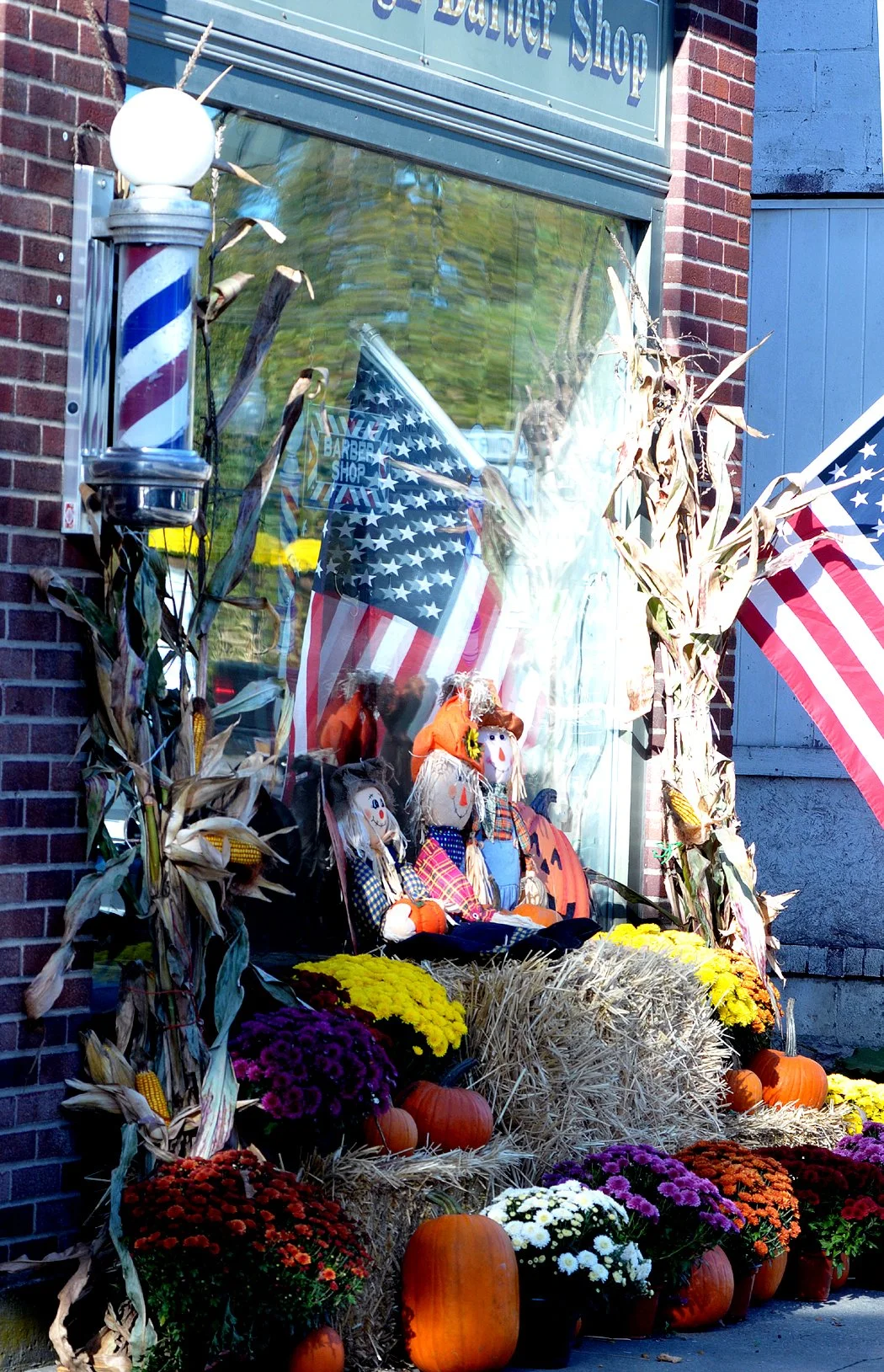 b shop scarecrows.jpg