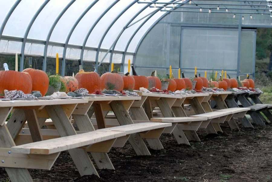 CBF. tables in greenhouse.jpg