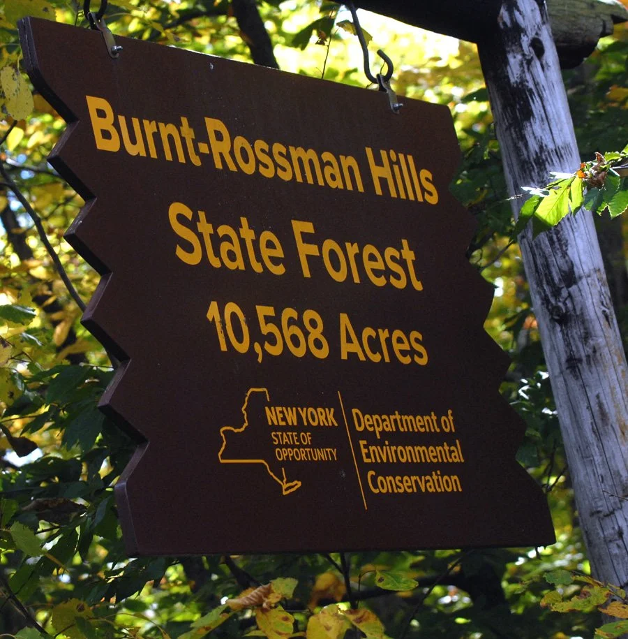Eminence. BurntRossman sign.jpg