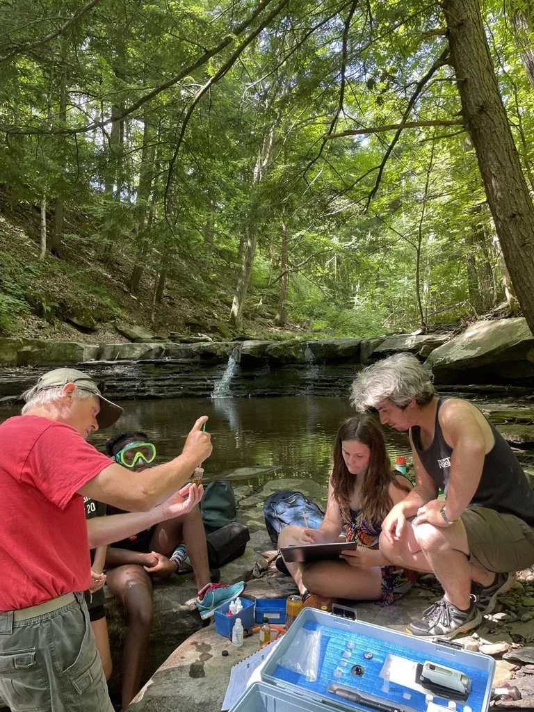 Students leaning from teachers at a creek in Schoharie County