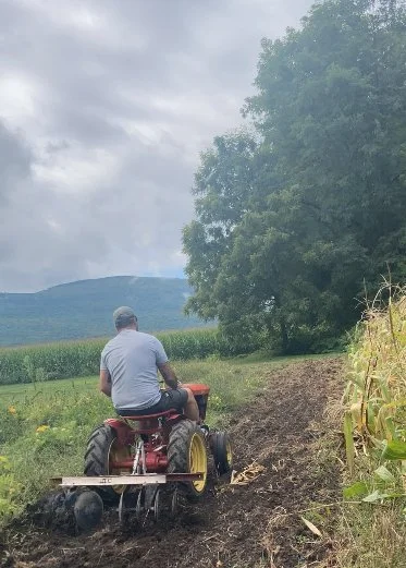 Agripreneur Brennen McCarthy plows Upstate NY garden