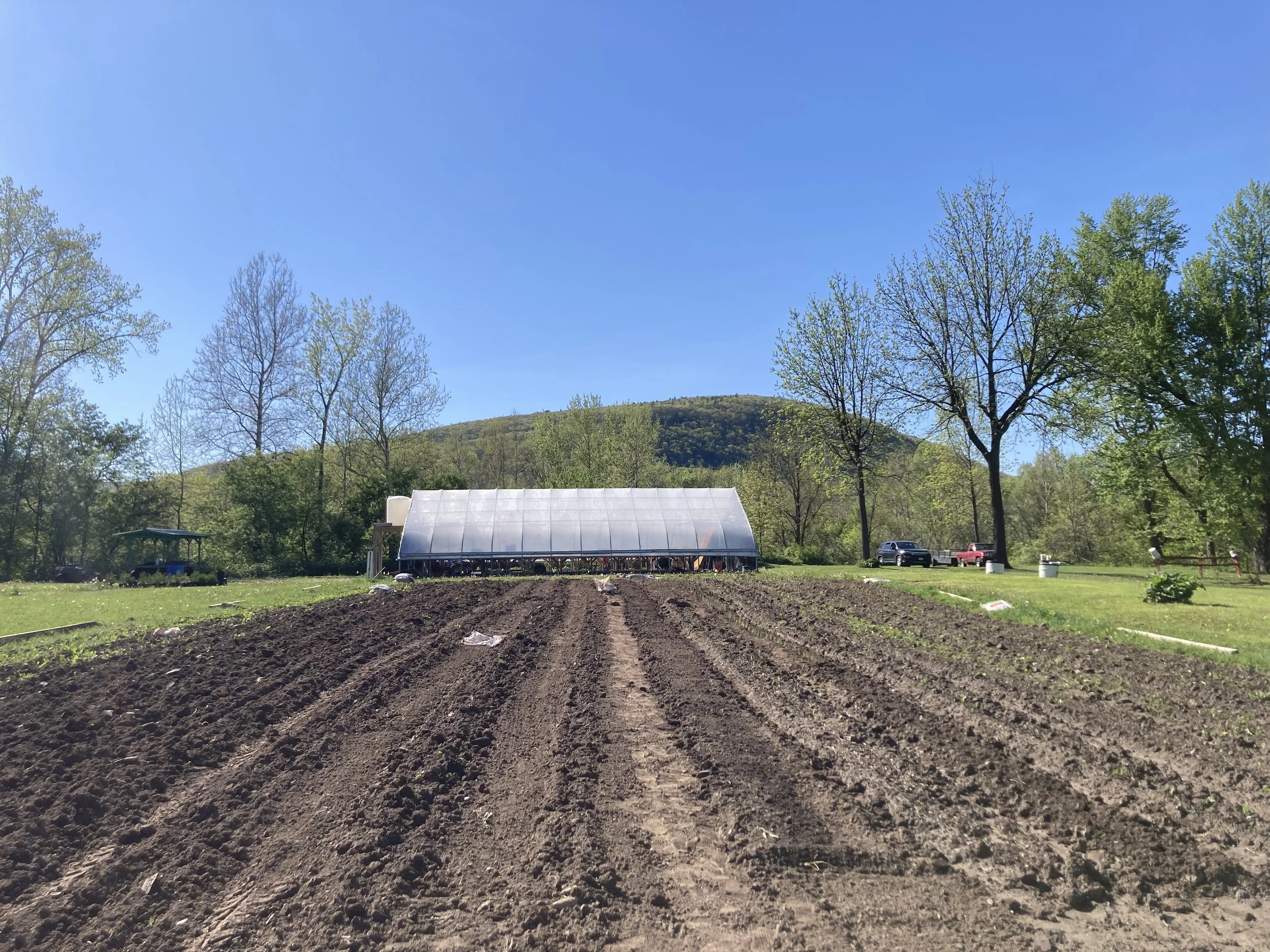 Agripreneur Brennan McCarthy's Upstate NY greenhouse