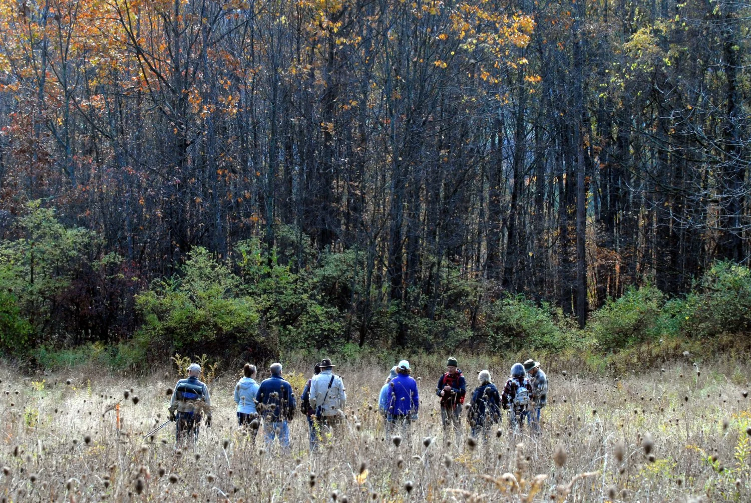 People hiking through the Settle’s Mountain Nature Preserve in Schoharie County.