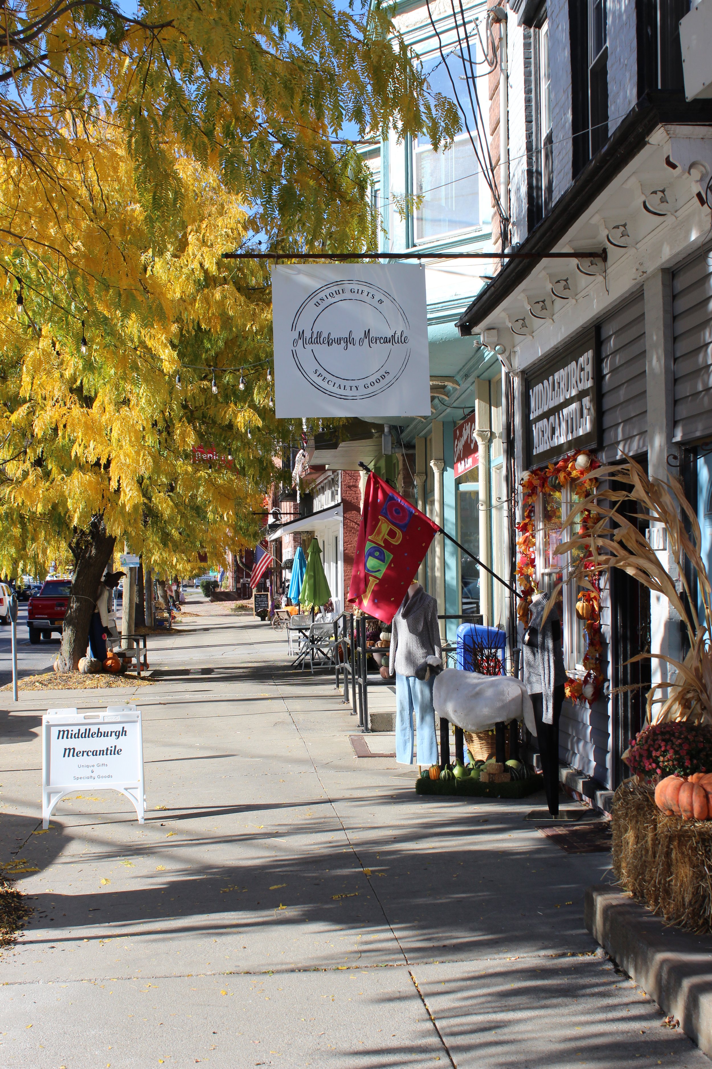 Middleburgh sidewalk with store signage and flags in Schoharie County town