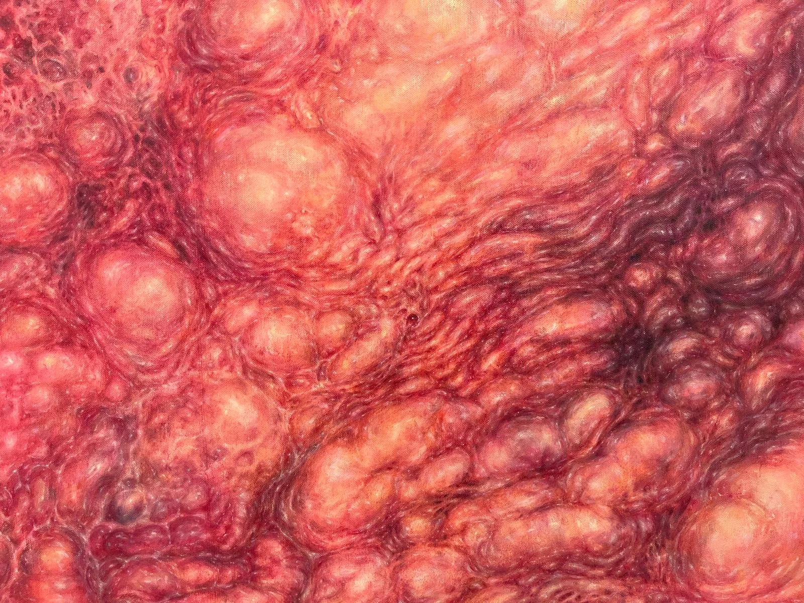 IMG-20250428-WA0053 (1).jpg