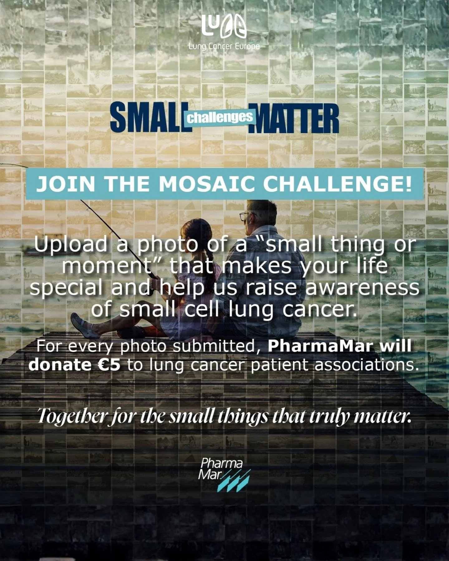 Small Cell Lung Cancer is an aggressive form of lung cancer that needs much greater awareness.

Stigma is high, and too many people face this disease in silence.

Lung Cancer Europe is supporting the Mosaic Challenge, part of the Small Things Matter 