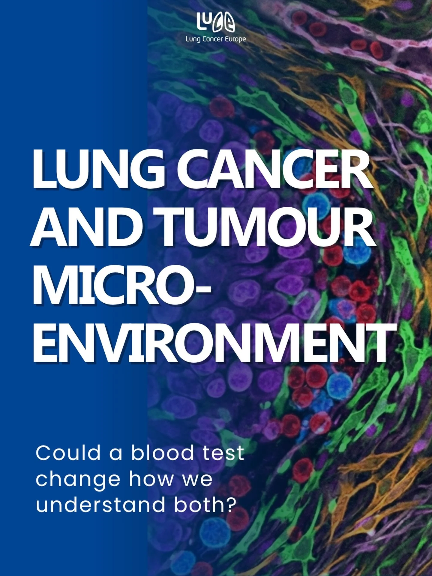 Lung cancer treatment is moving beyond &ldquo;what mutation does the tumour have?&rdquo; towards bigger questions.

What is happening around the tumour?
Are immune cells getting in?
Is the environment supportive or resistant to treatment?
Could we un