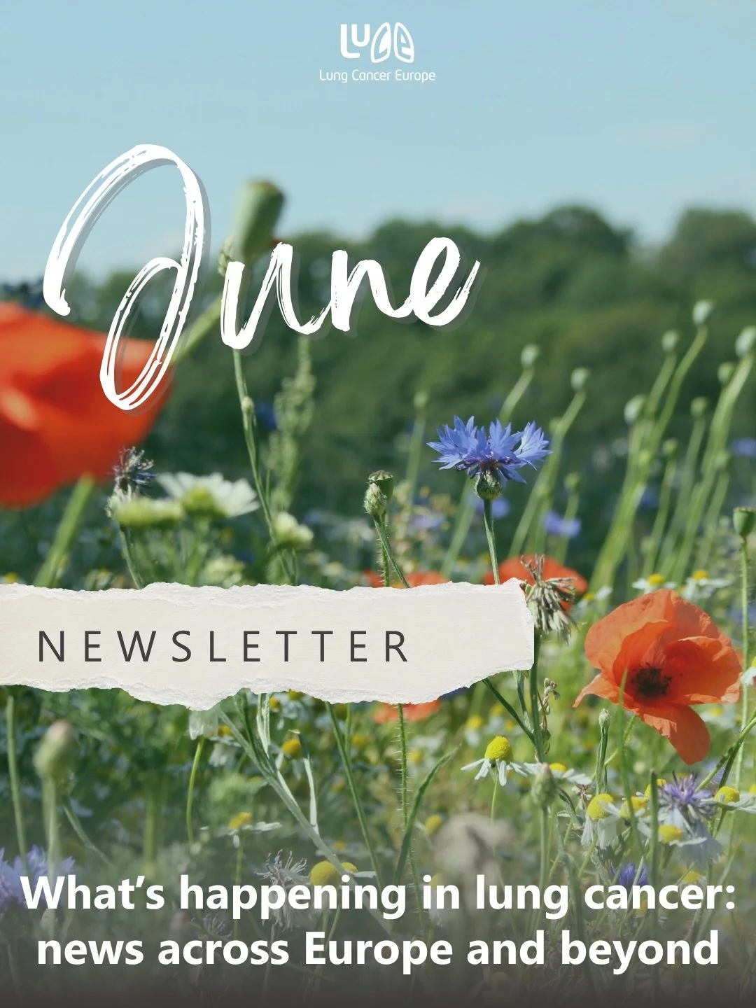 Our June newsletter is out today, and this one&rsquo;s coming to you from Chicago 🇺🇸

Find out why Lung Cancer Europe is at ASCO for the first time and what it means for lung cancer in Europe.

We&rsquo;ll also be heading to Korea later this year a