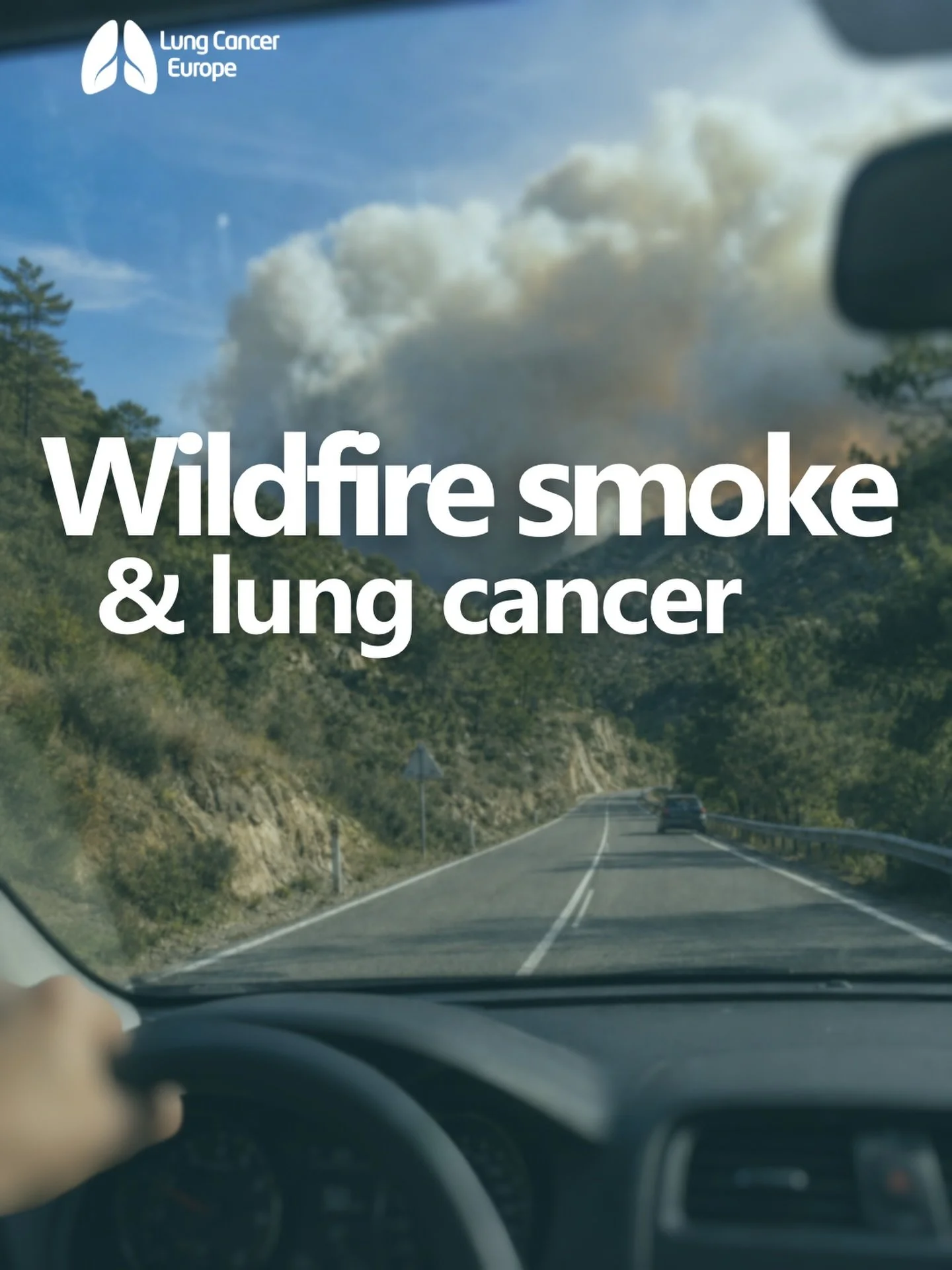 Wildfires are burning across France and Spain as another heatwave spreads across Europe.

The smoke from wildfires can travel hundreds or even thousands of kilometres, affecting air quality far beyond the fire itself.

New research is starting to sho