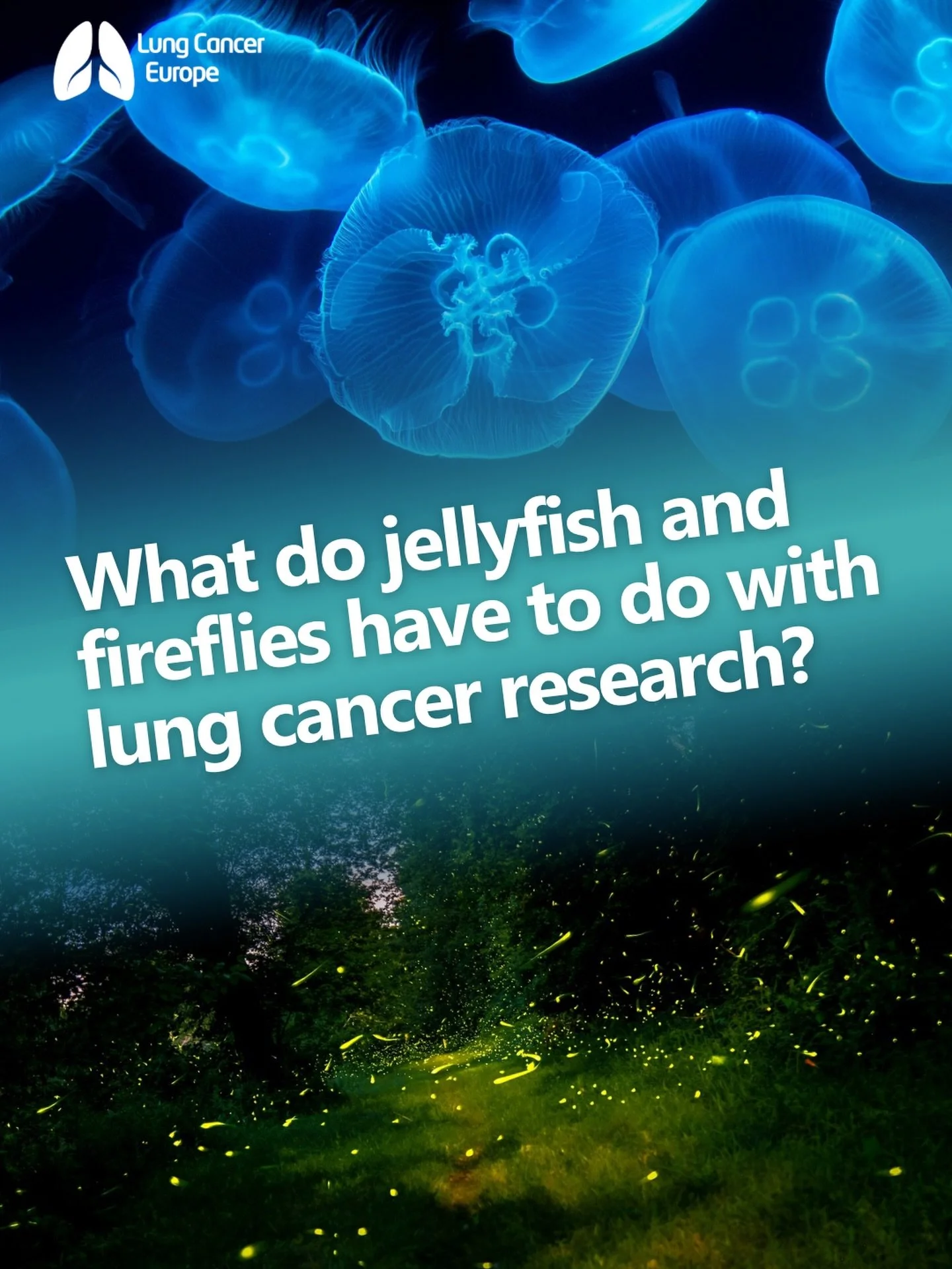 What do jellyfish and fireflies have to do with lung cancer research?

They helped researchers build a new way to track tumours.

Scientists in Scotland have developed an imaging system that combines fluorescent proteins, firefly light-producing enzy