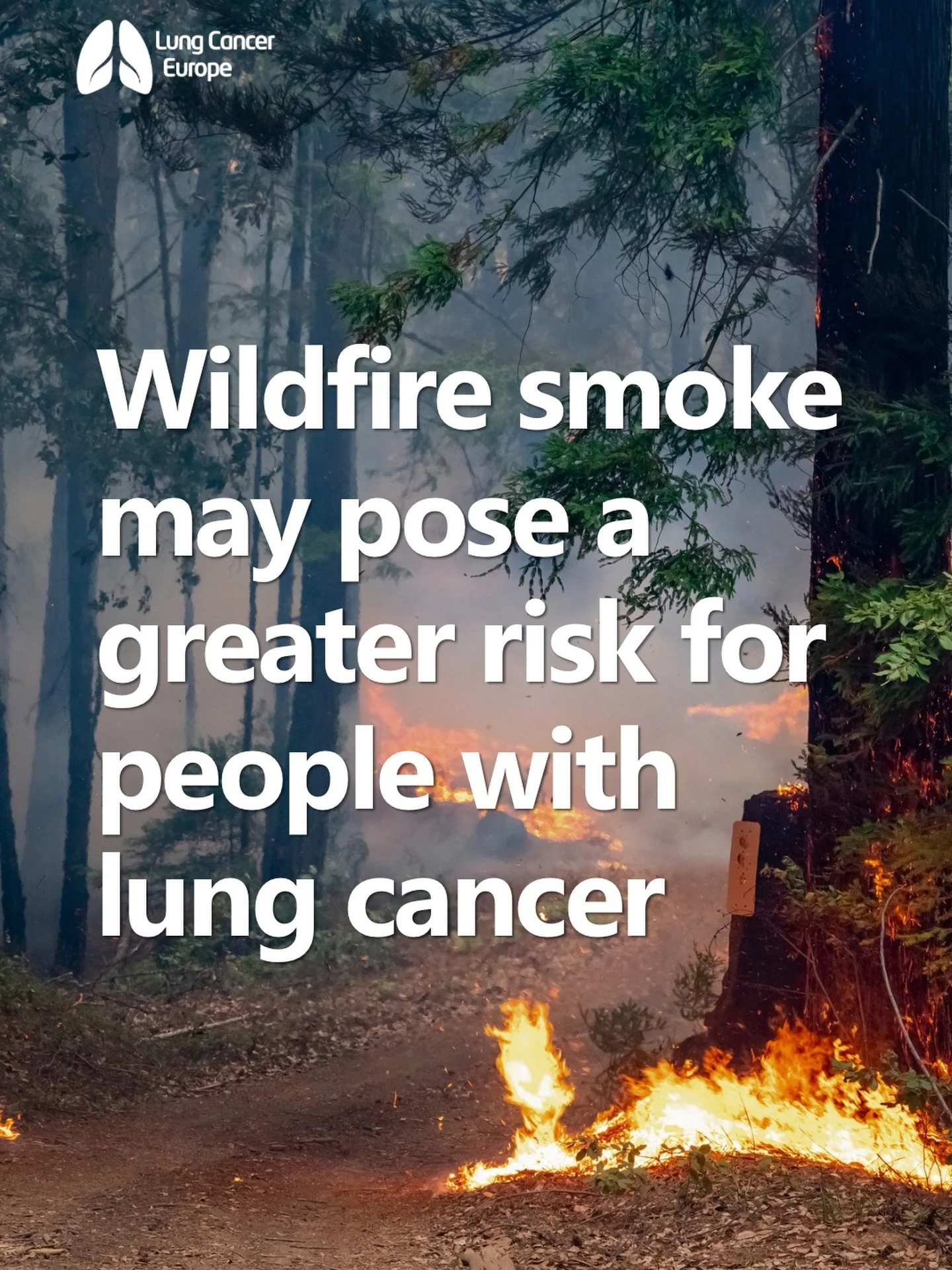 Wildfire smoke may pose a greater risk for people with lung cancer than other forms of air pollution.

A new study just published in The Lancet Oncology looked at long-term exposure to fine particle pollution, known as PM2.5, among more than 414,000 