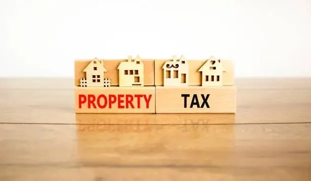 Property Taxes