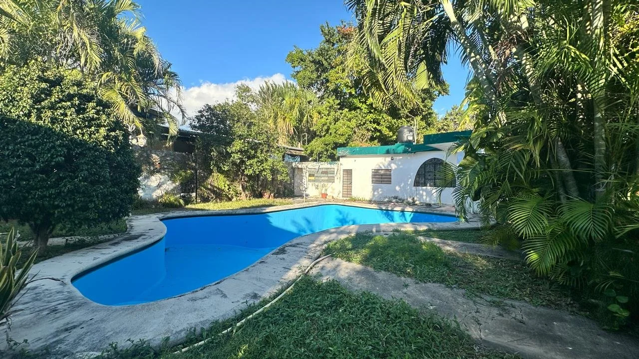 WhatsApp Image 2025-02-10 at 11.13.58 PM (24).jpeg