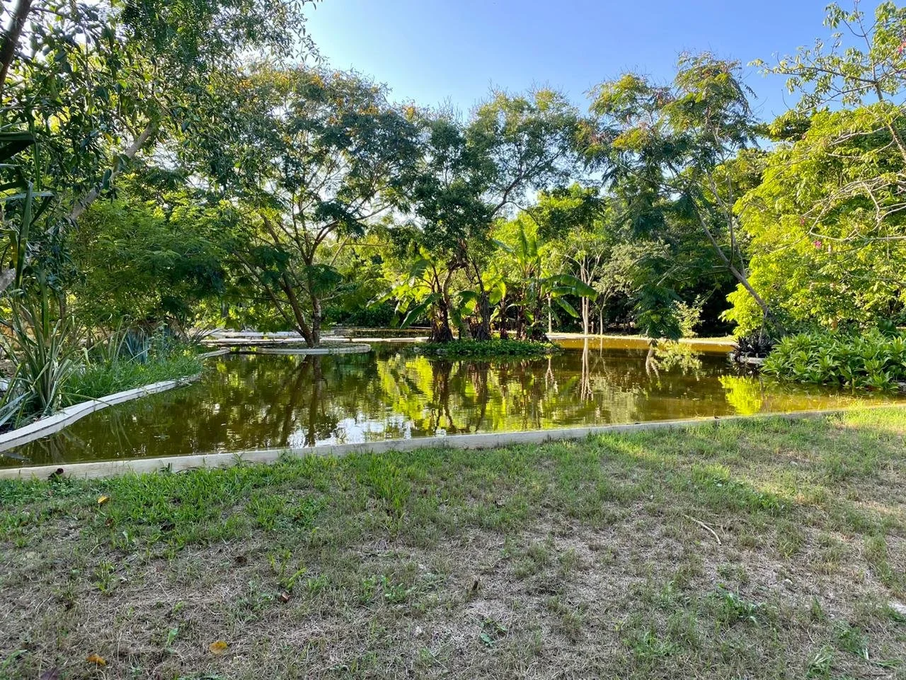 WhatsApp Image 2026-01-12 at 08.58.45 (1).jpeg