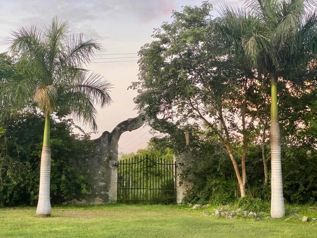 WhatsApp Image 2026-01-12 at 08.58.45 (3).jpeg