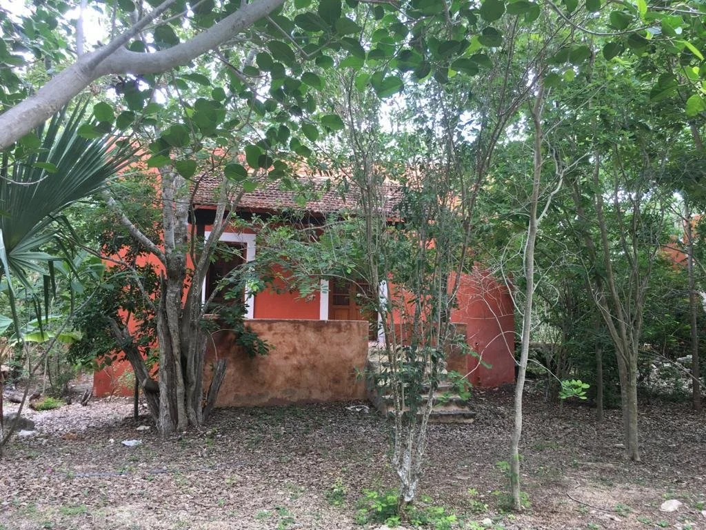 WhatsApp Image 2026-01-12 at 08.58.45 (5).jpeg