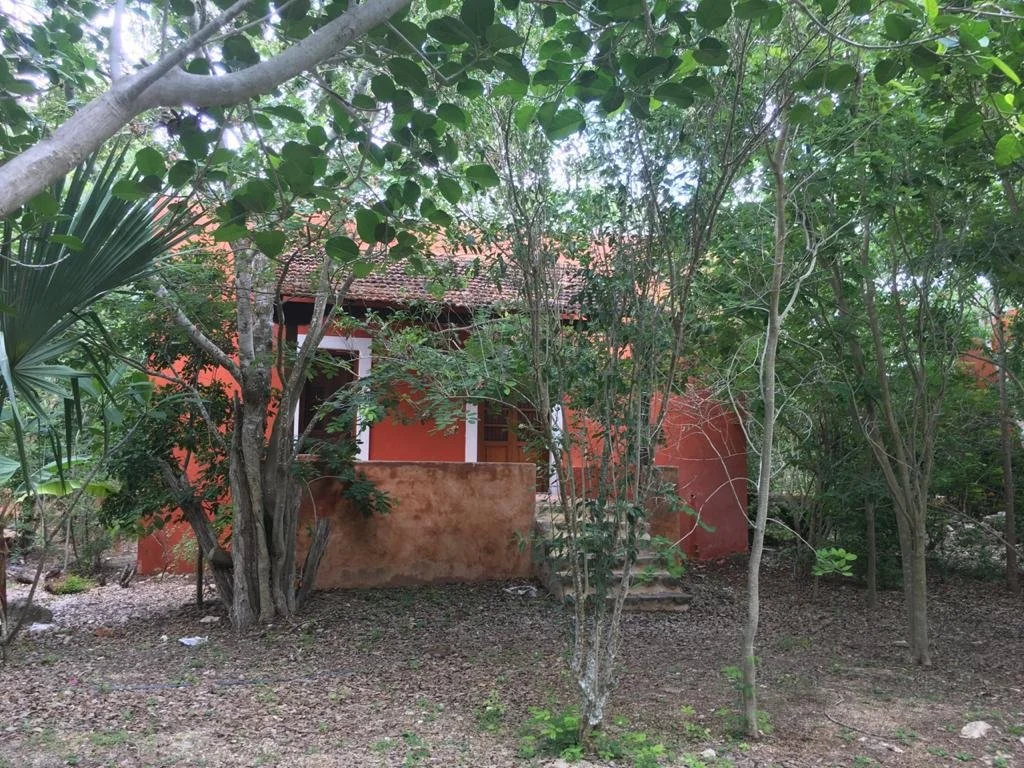 WhatsApp Image 2026-01-12 at 08.58.45 (6).jpeg