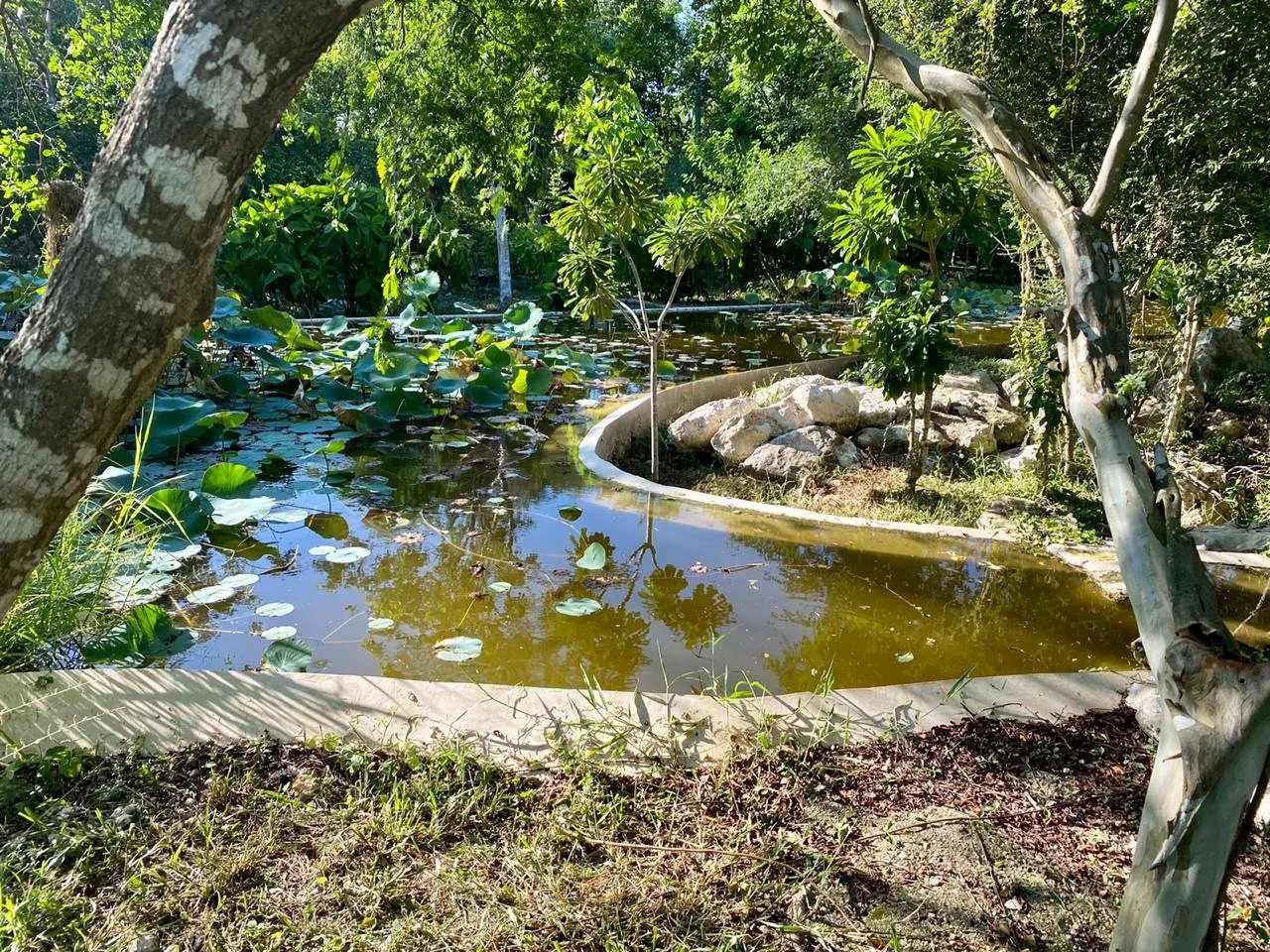 WhatsApp Image 2026-01-12 at 08.58.48 (6).jpeg