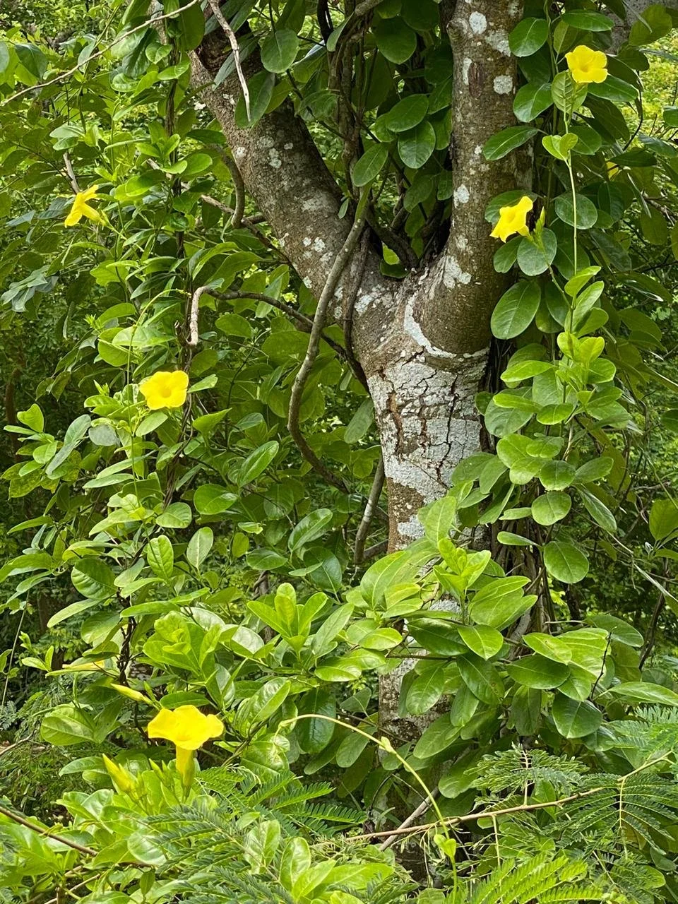 WhatsApp Image 2026-01-12 at 08.58.48 (7).jpeg