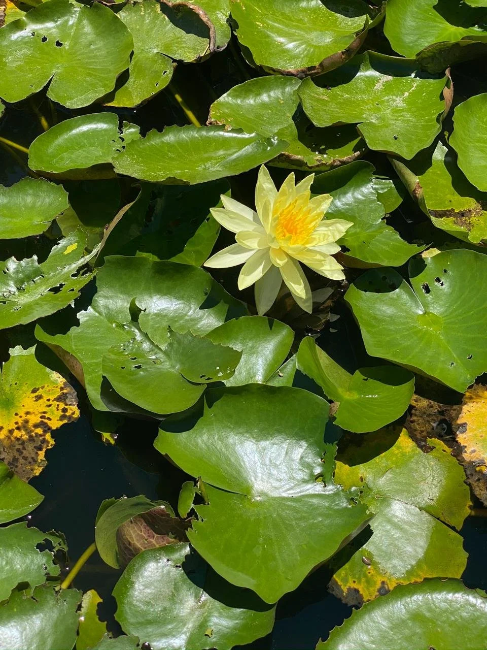 WhatsApp Image 2026-01-12 at 08.58.48 (8).jpeg