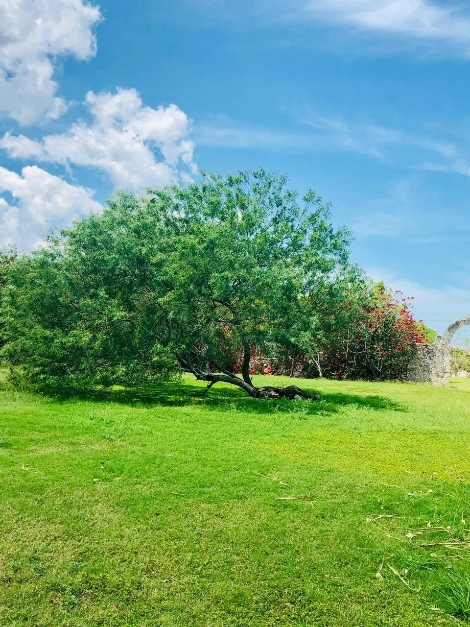 WhatsApp Image 2026-01-12 at 08.58.48 (10).jpeg