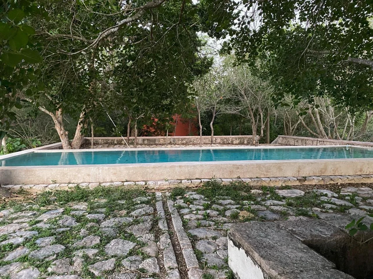 WhatsApp Image 2026-01-12 at 08.58.49.jpeg