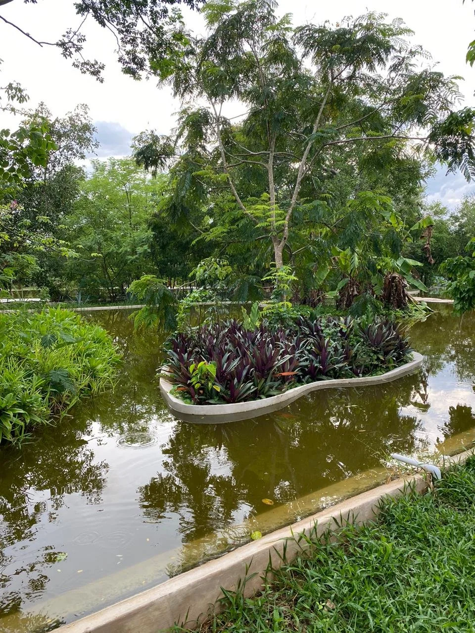 WhatsApp Image 2026-01-12 at 08.58.50 (1).jpeg