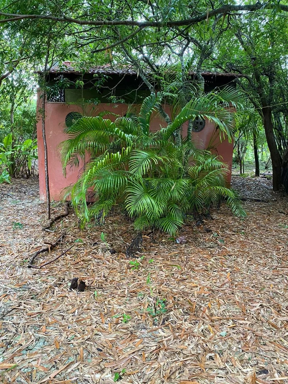 WhatsApp Image 2026-01-12 at 08.58.50 (2).jpeg