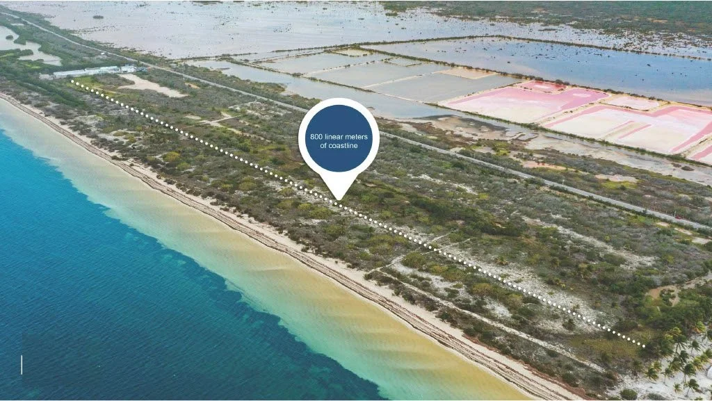 Oceanfront Residential Lots Santa Clara, Yucatan