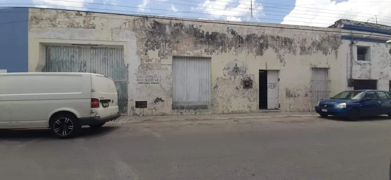 WhatsApp Image 2026-03-24 at 10.17.25 (1).jpeg