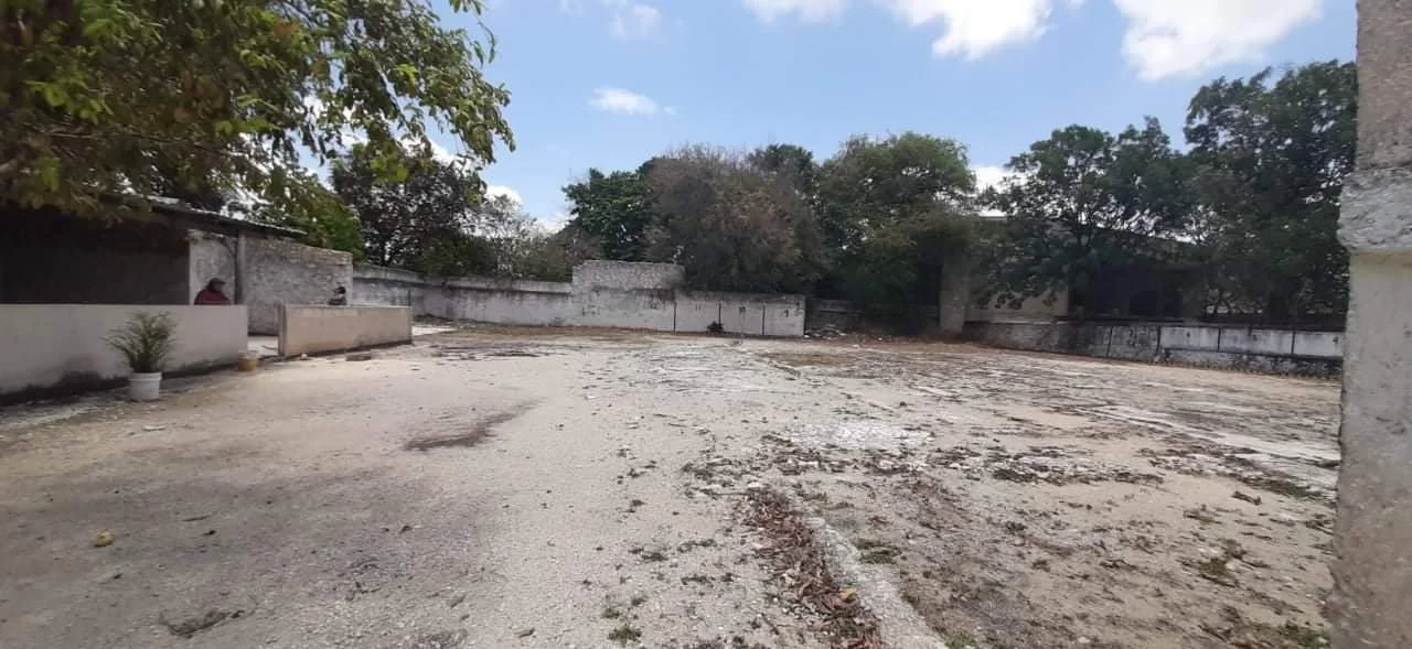 WhatsApp Image 2026-03-24 at 10.17.25 (2).jpeg