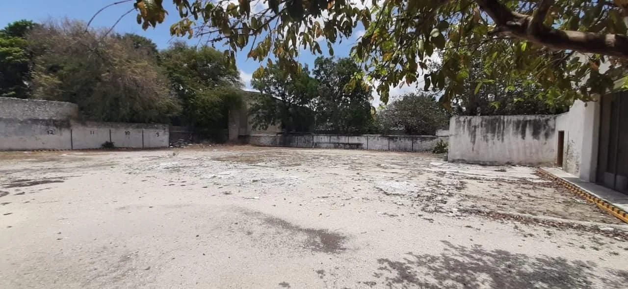 WhatsApp Image 2026-03-24 at 10.17.26 (3).jpeg