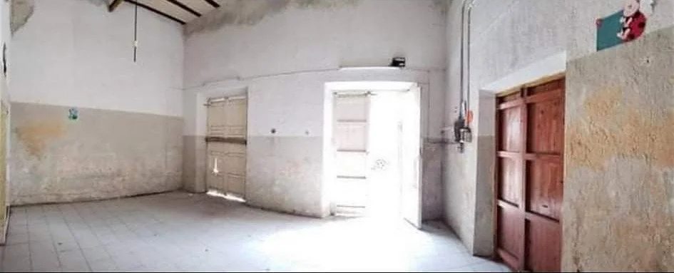 WhatsApp Image 2026-03-24 at 10.17.26 (4).jpeg