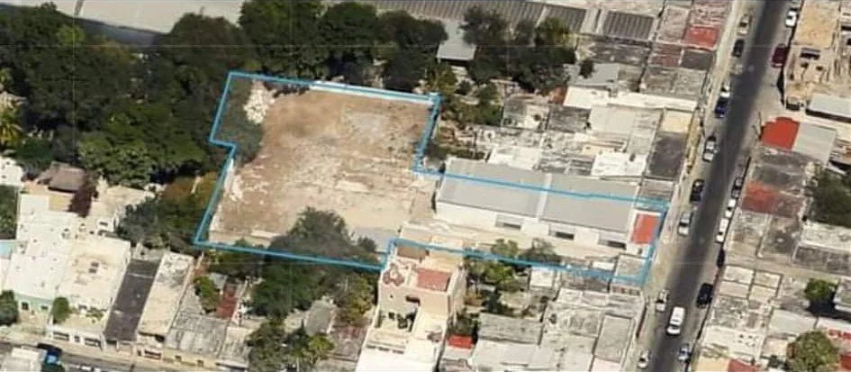 WhatsApp Image 2026-03-24 at 10.17.26 (6).jpeg