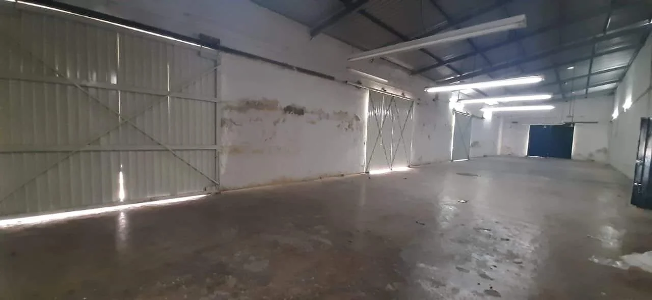 WhatsApp Image 2026-03-24 at 10.17.26 (9).jpeg