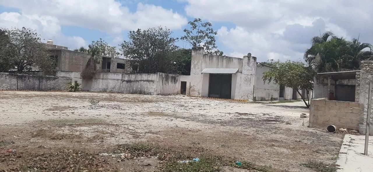 WhatsApp Image 2026-03-24 at 10.17.26 (10).jpeg