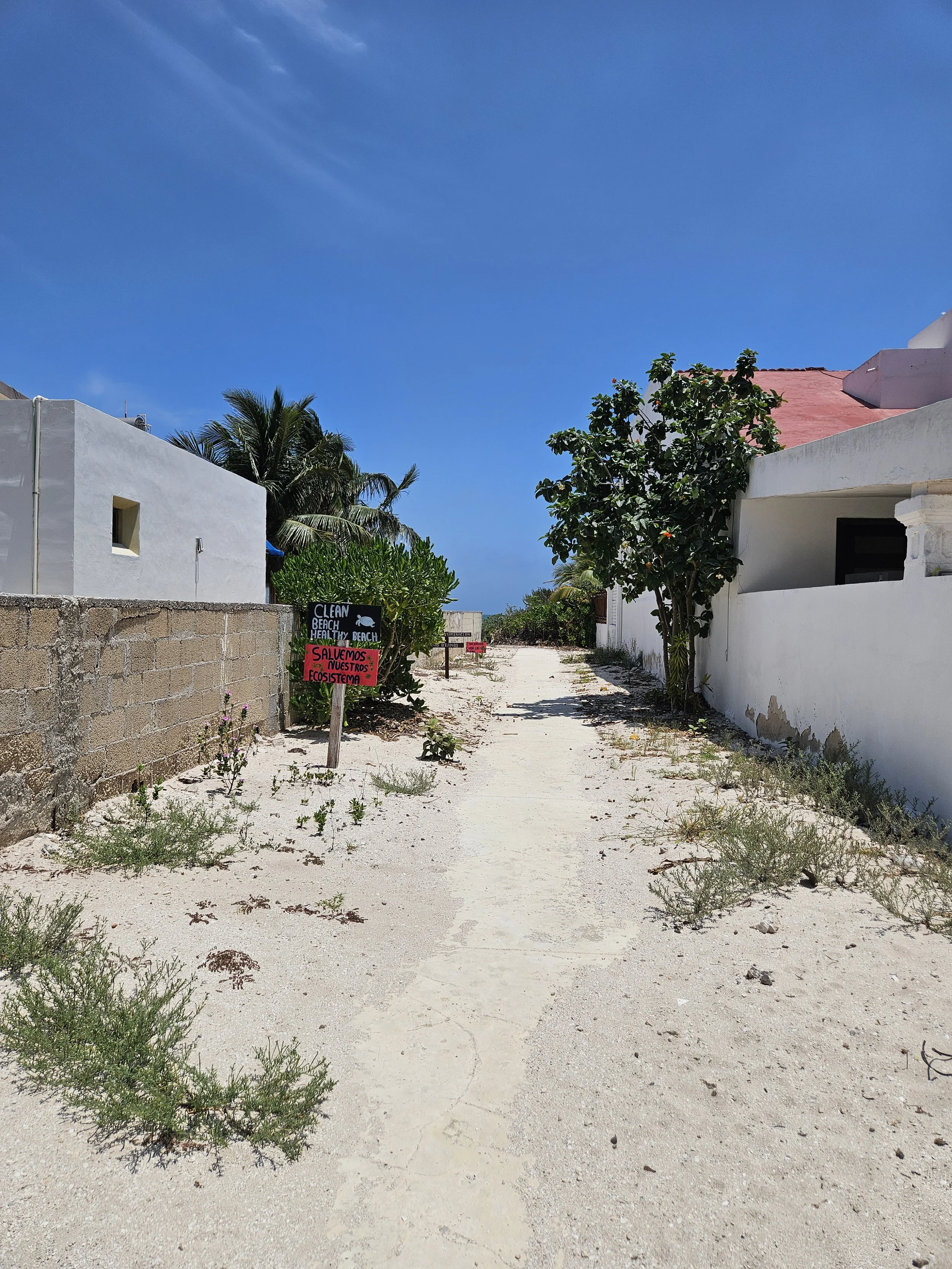 caminodeplaya.jpg