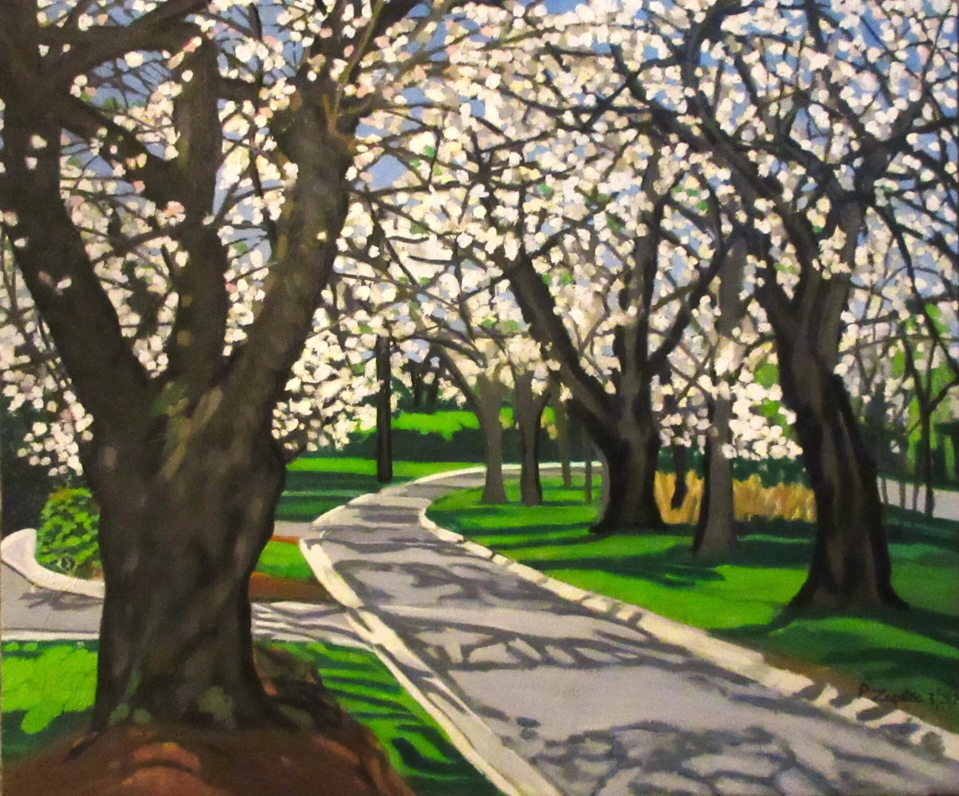 Kenwood, Maryland's Cherry Blossoms' Road by Paul Zapatka