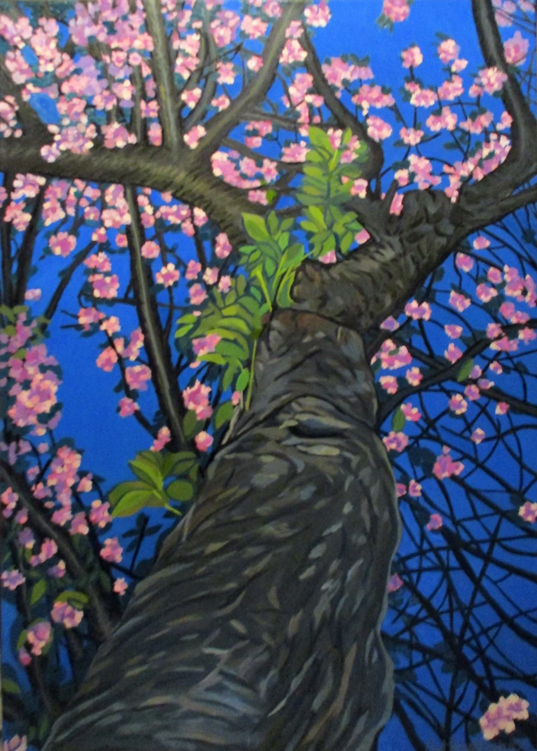 Cherry Tree at Night by Paul Zapatka