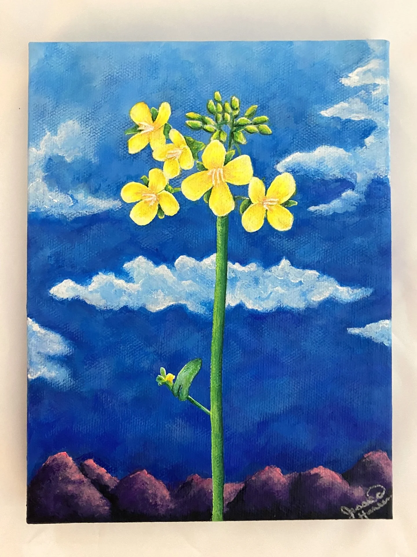 Faith As Small As A Mustard Seed by Jessica Hansen