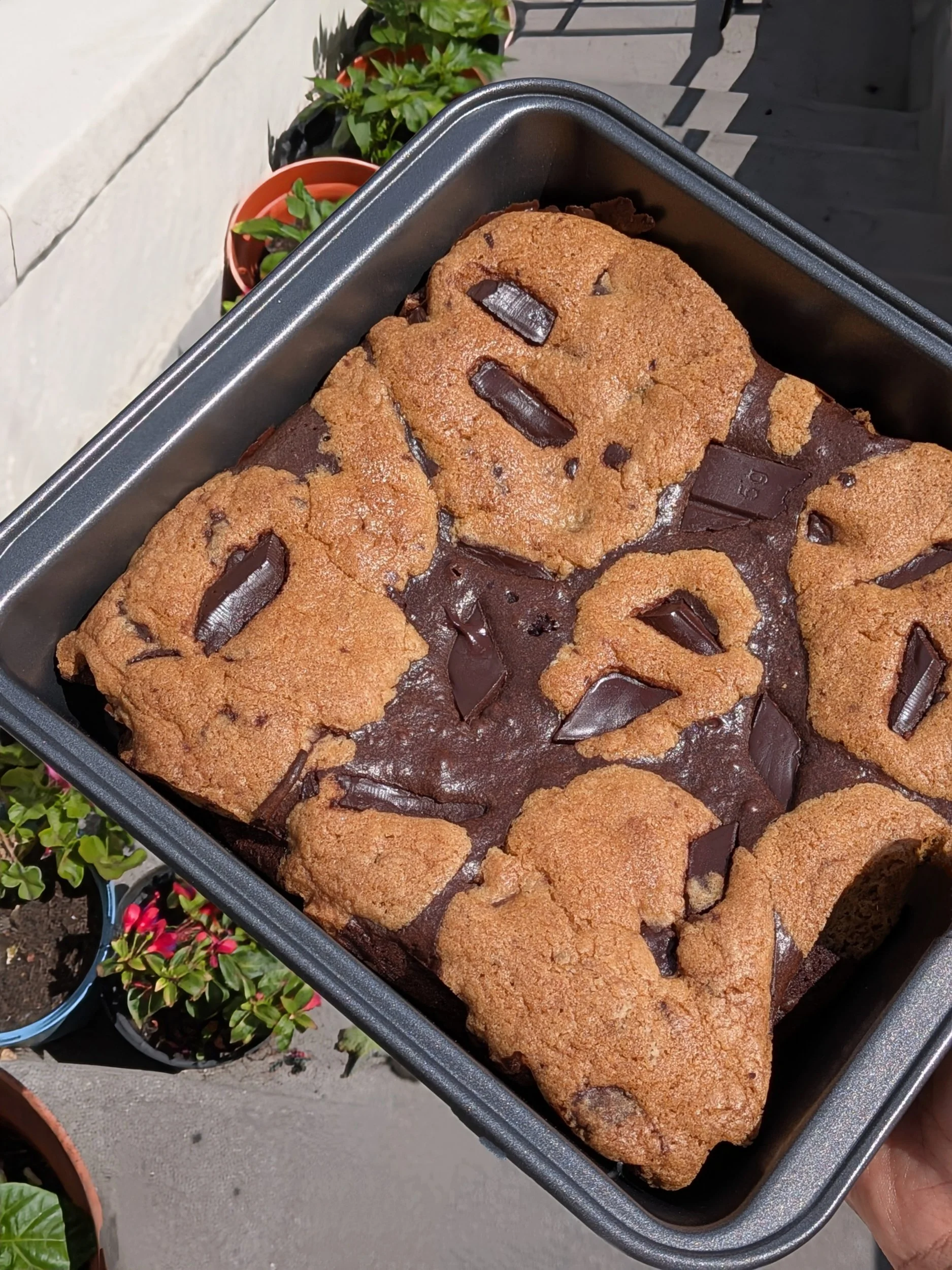 A tray of freshly baked chocolate chip cookies with broken and whole cookies, some with visible chocolate chunks, placed in a baking pan outdoors with potted plants in the background.