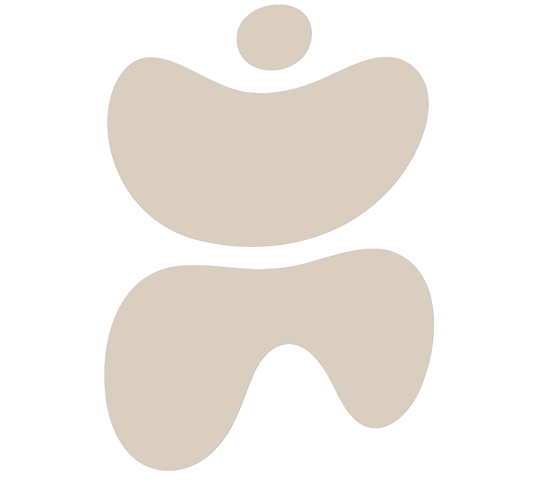 Couto Studio, Brand Consultant and Digital Marketing Client