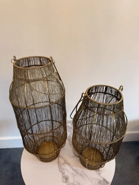 IMG_1840 Medium.jpeg