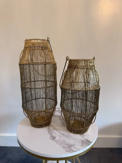 IMG_1839 Medium.jpeg