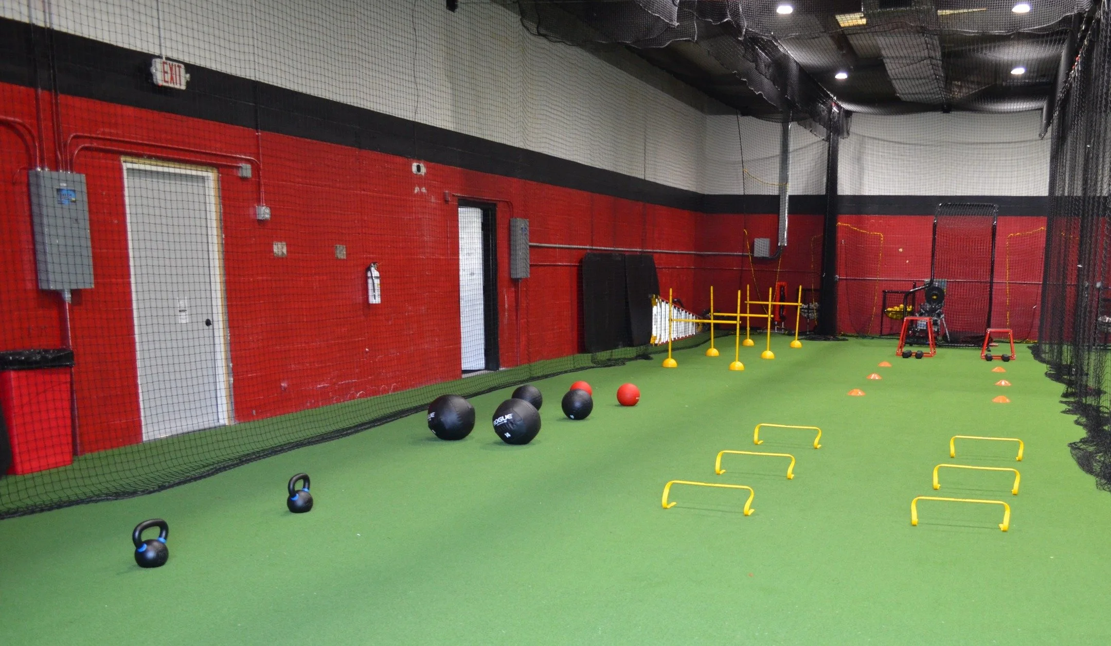 You may wonder why we&rsquo;re called Black Bear Training?

The black bear is the only bear native to Florida, and it was revered by the Tocobaga people, who once lived here in Safety Harbor, for its strength, intelligence, and resilience.
Those same